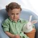 Easter Special: child portrait brown chair boy bunny in pot
